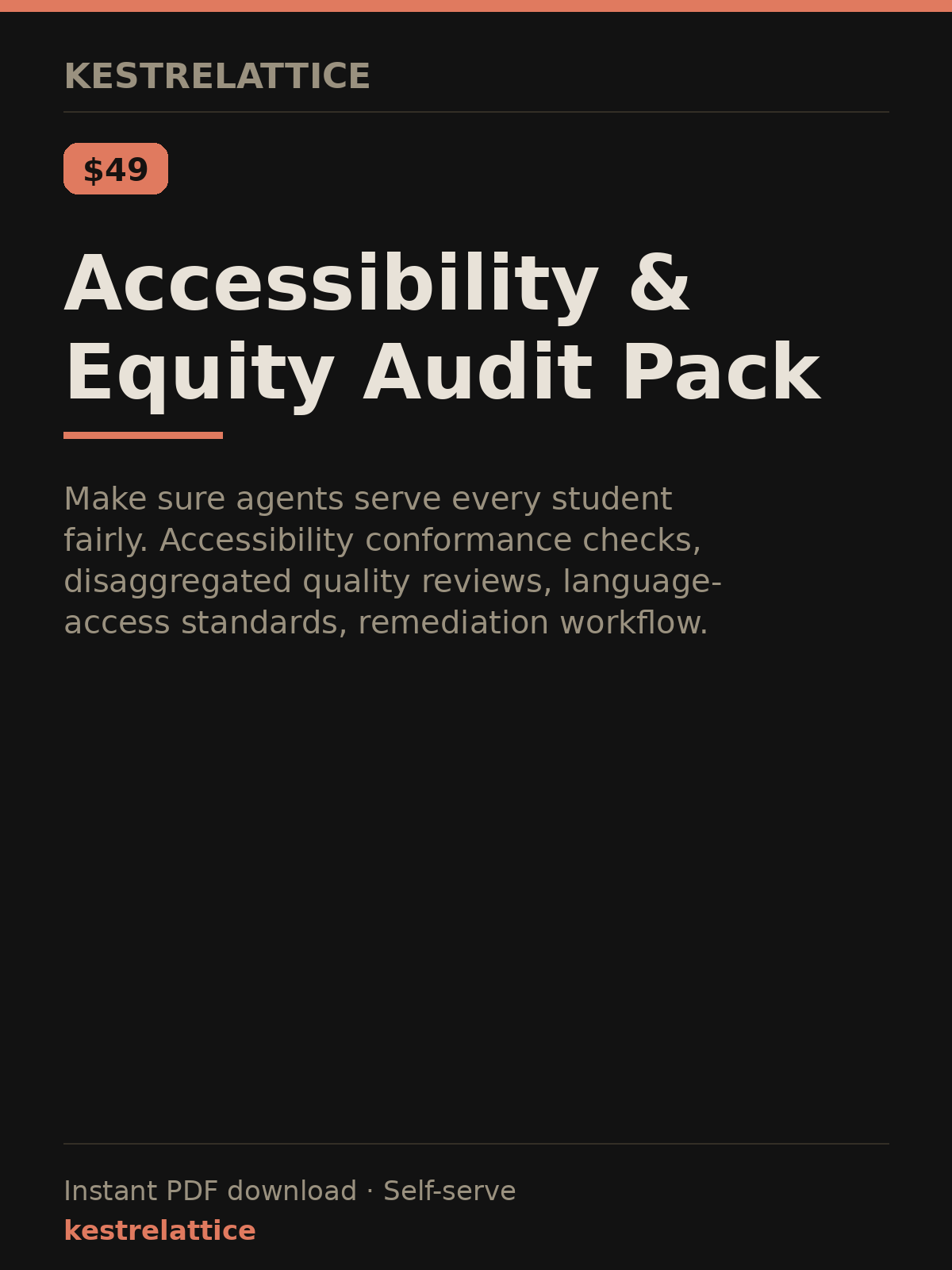 Accessibility & Equity Audit Pack cover