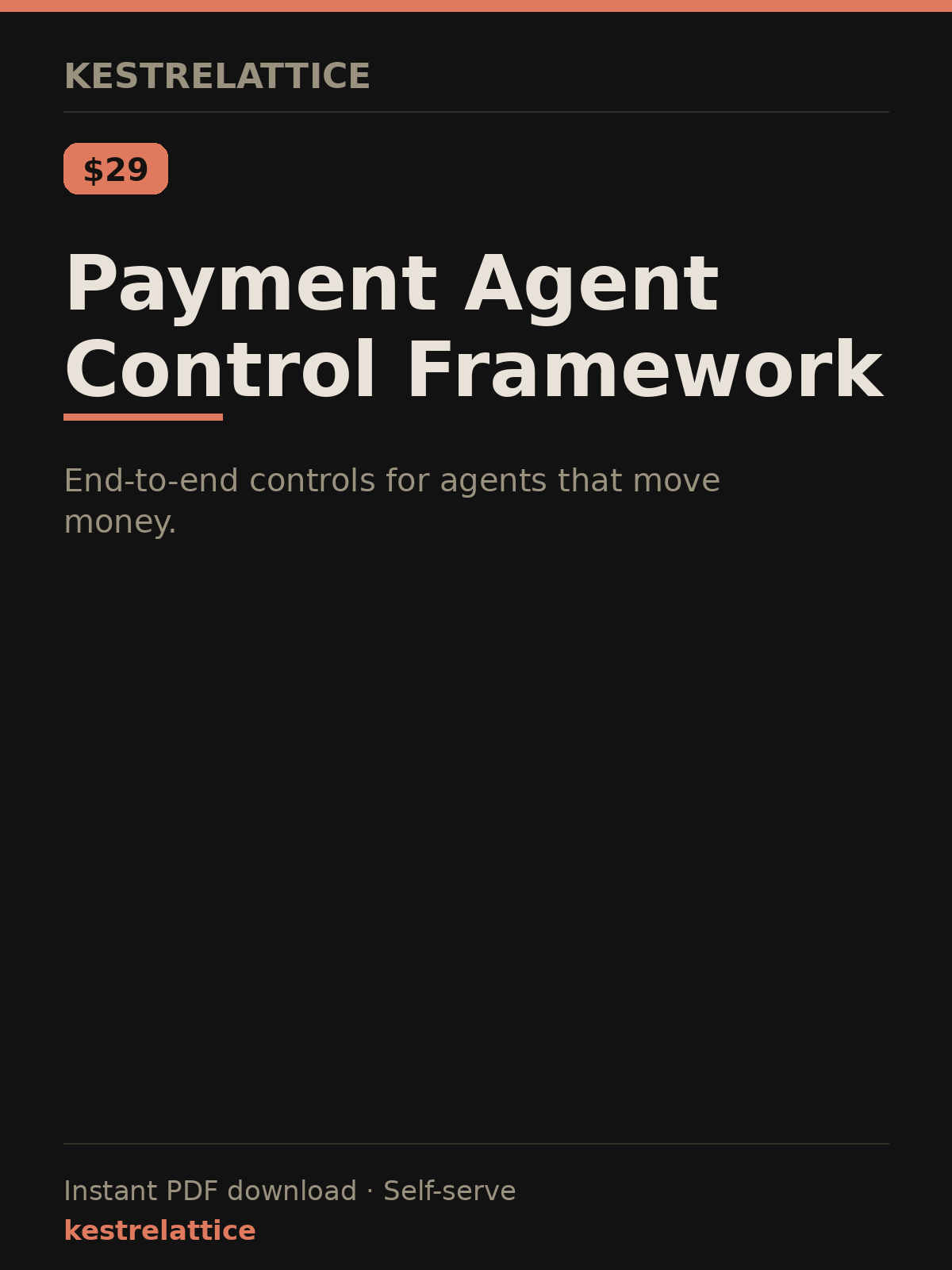 Payment Agent Control Framework cover
