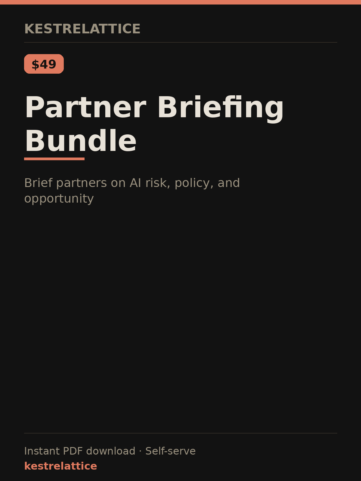 Partner Briefing Bundle cover