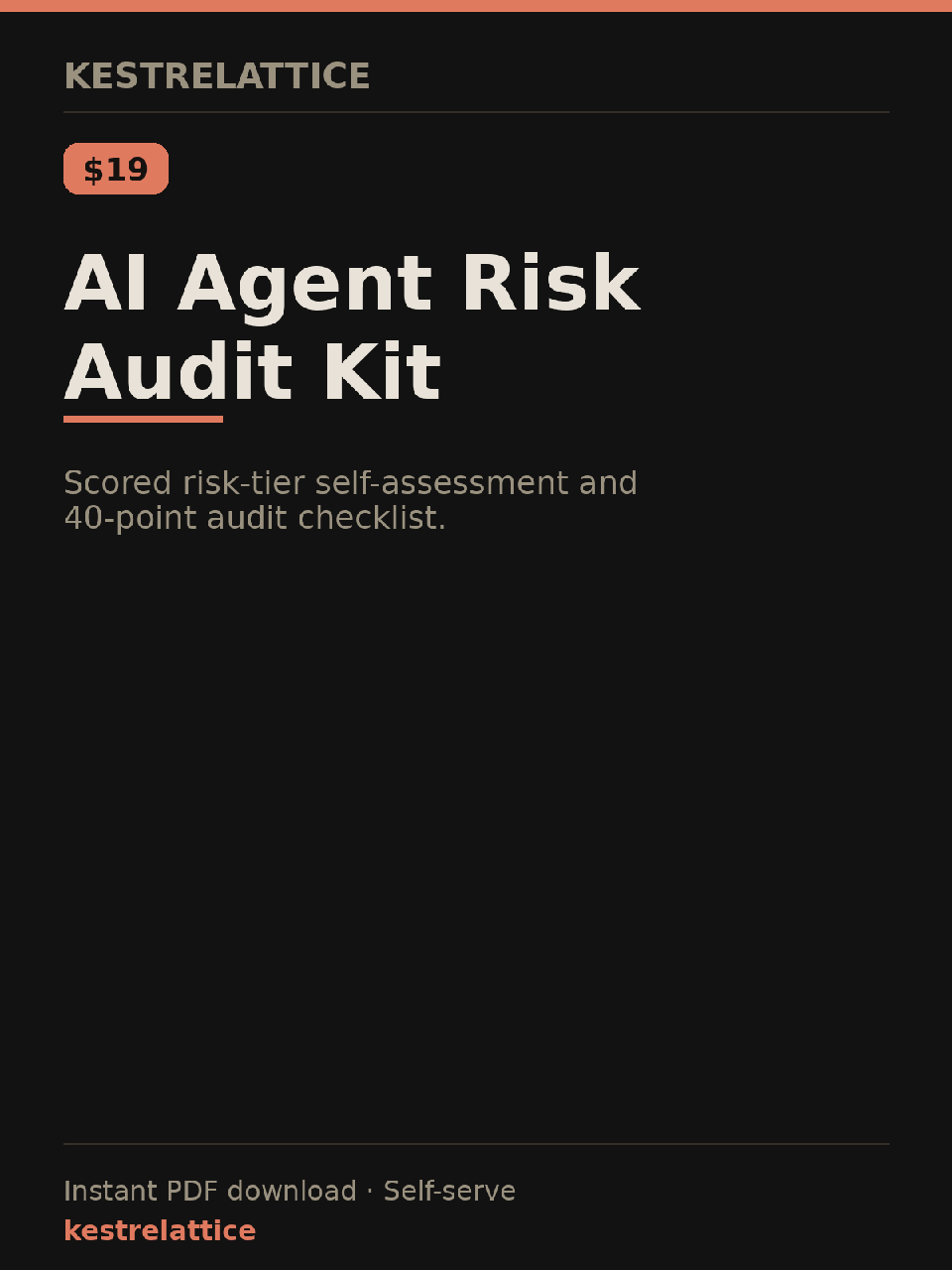 AI Agent Risk Audit Kit cover